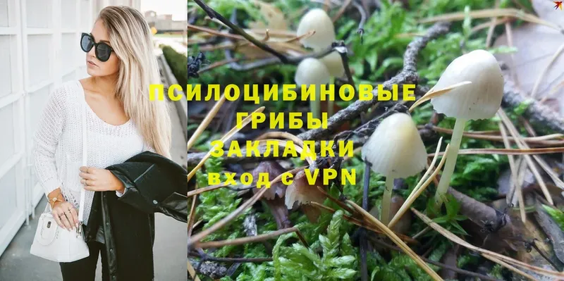 Галлюциногенные грибы Magic Shrooms  что такое   мега ТОР  Верхняя Тура 